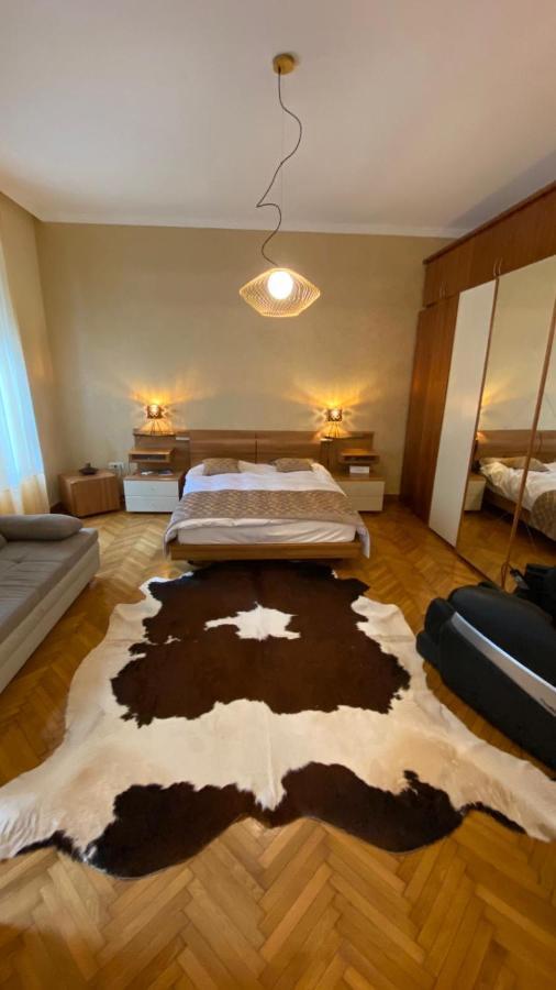 The Home Temeşvar Dış mekan fotoğraf