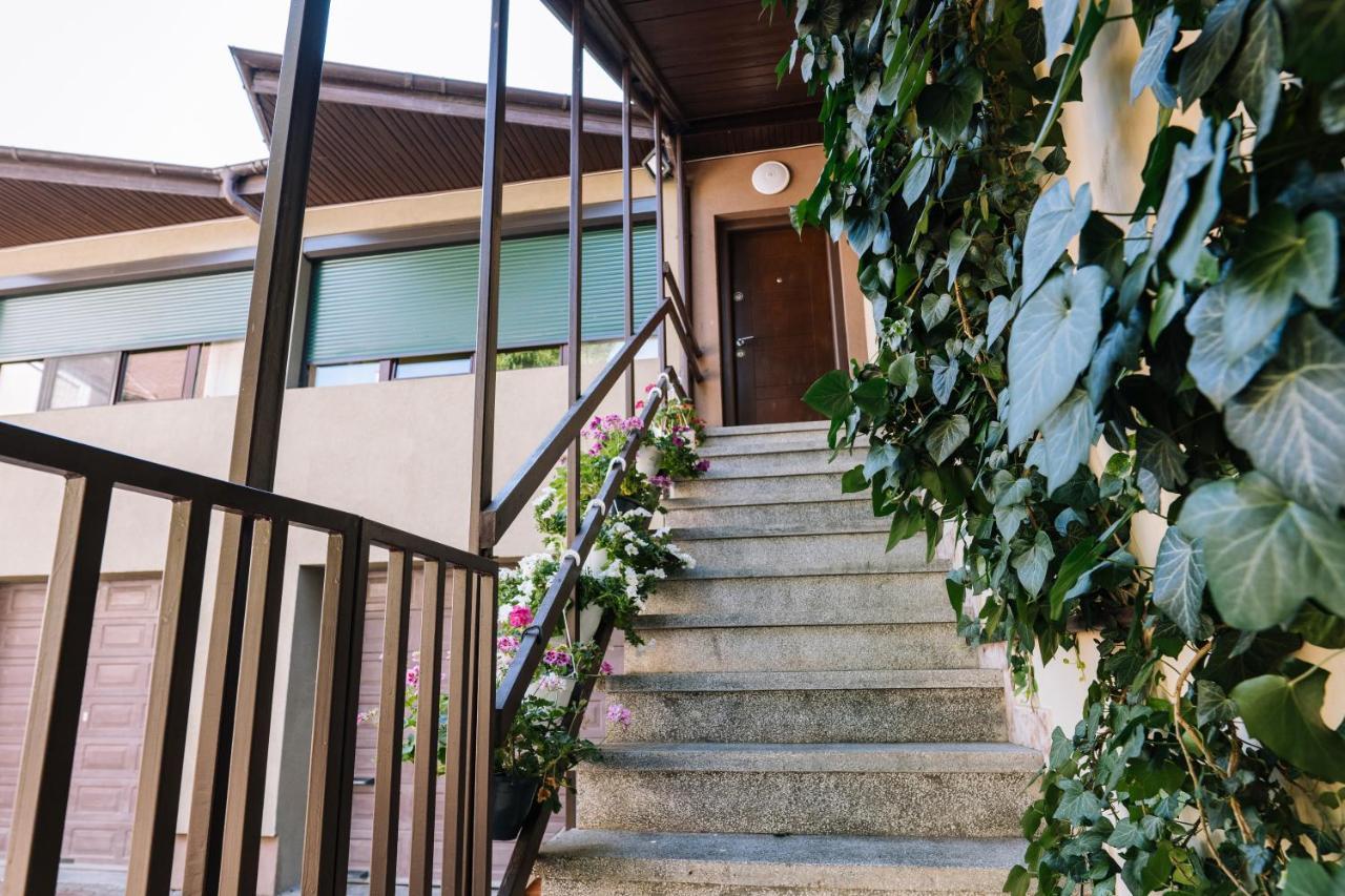 The Home Temeşvar Dış mekan fotoğraf